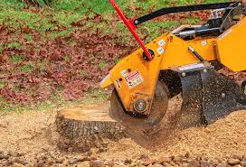 Best Stump Grinding and Removal  in USA